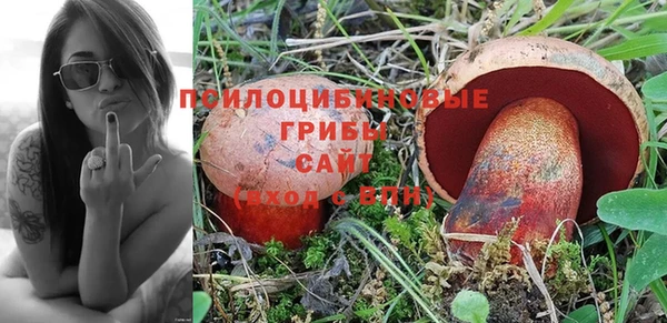 первитин Красноперекопск