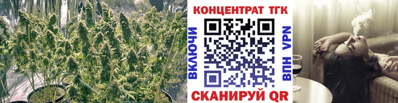 Купить  Сельцо  ТГК Wax 