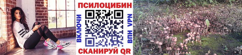 Купить  Сельцо  Галлюциногенные грибы GOLDEN TEACHER 